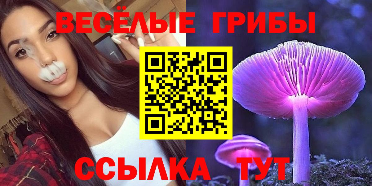 Зима  Псилоцибиновые грибы ЛСД  Вход с VPN 